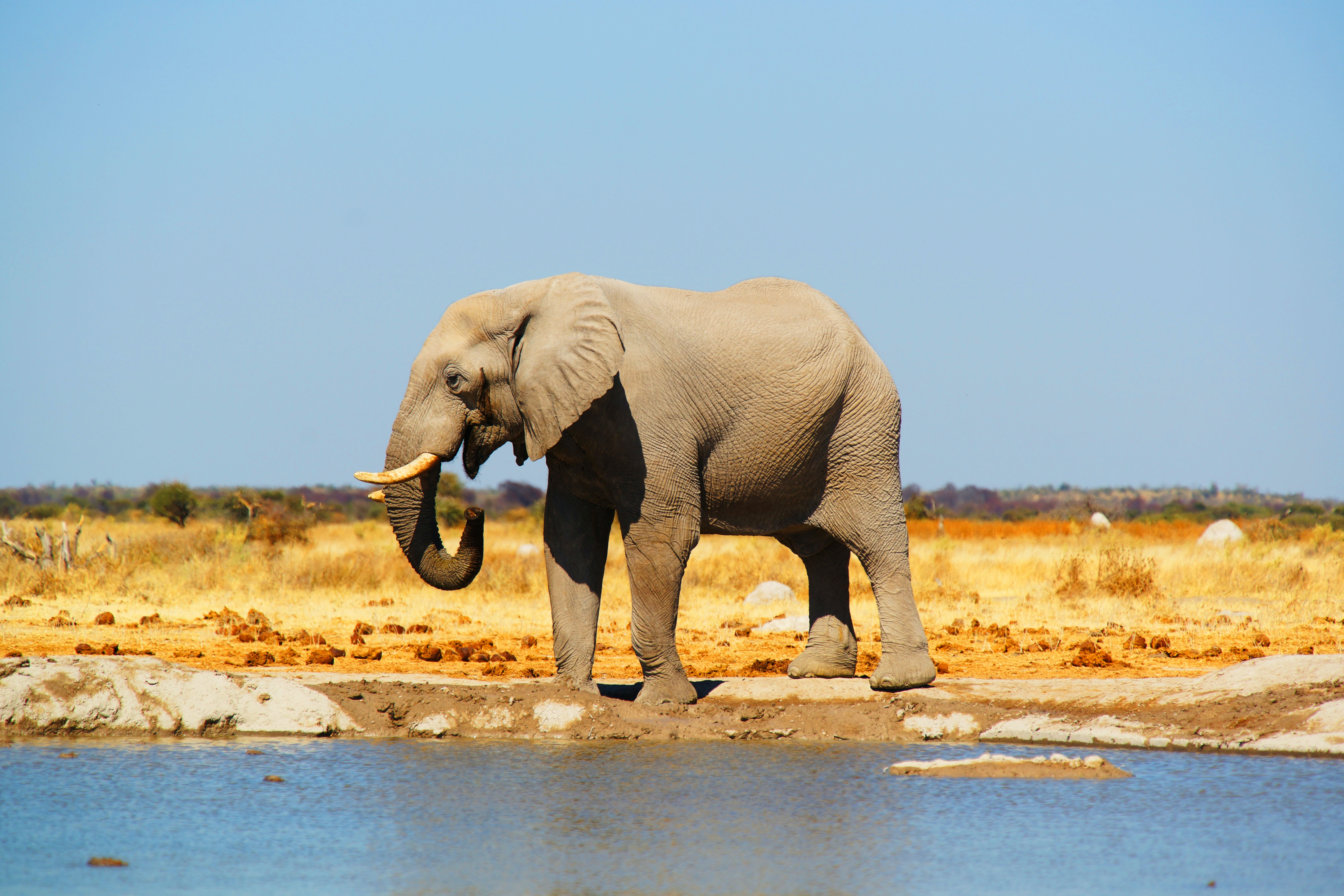 Botswana Tour Packages