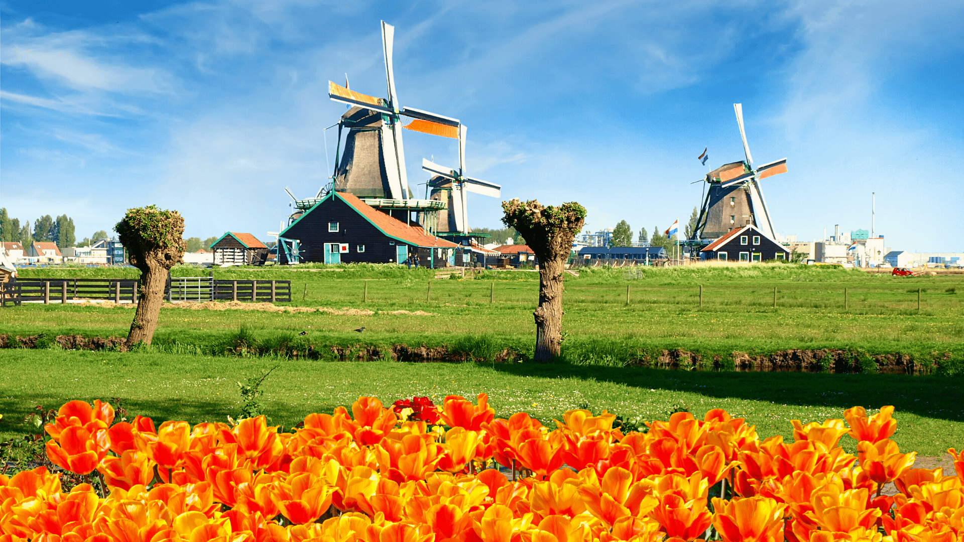 Glimpse of Europe, The Netherlands