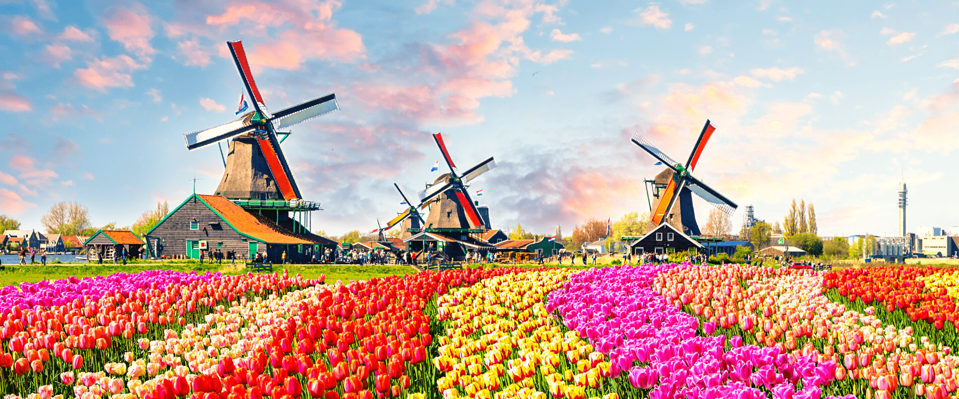 Amazing Netherlands