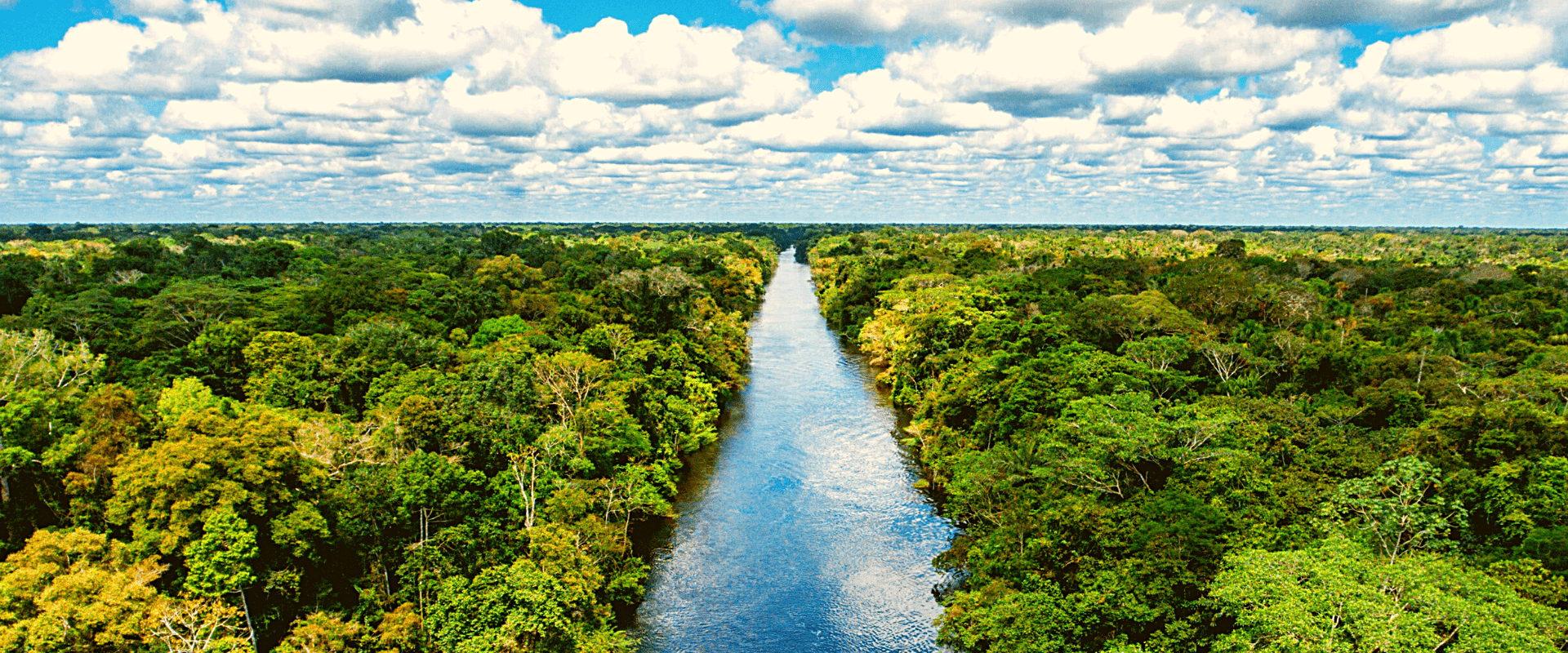 Amazonia River Cruise Tour